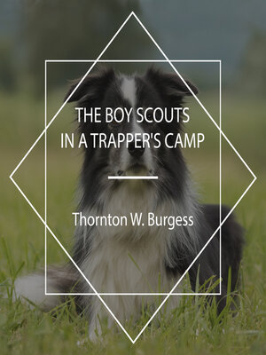 cover image of The Boy Scouts in a Trapper's Camp